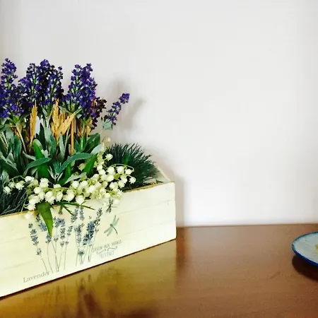 La Casetta Al Mare Lejlighed Nettuno