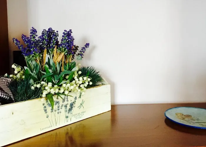 La Casetta Al Mare Apartment Nettuno